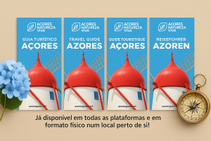 Um guia para as nove ilhas - Açores