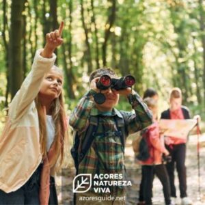 Observação de aves na ilha do Corvo