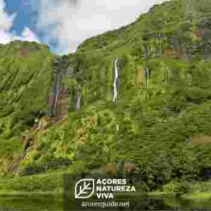 Festa do Emigrante 2023 - Flores