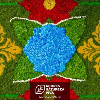 Festa da Flor Ribeira Grande 2023 São Miguel