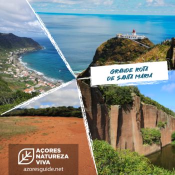 Grande Rota de Santa Maria