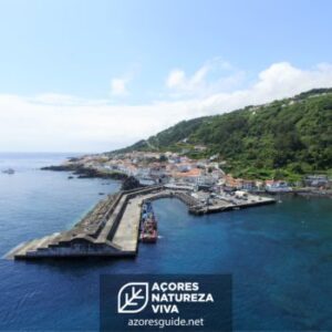 Festival de Julho 2023 - São Miguel