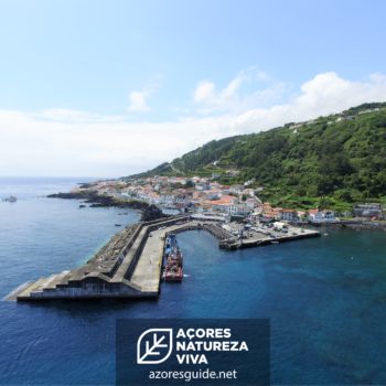 Festival de Julho 2023 - São Miguel