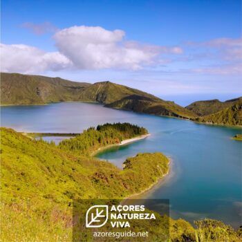 Shuttle da Lagoa do Fogo - São Miguel