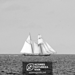 Afinal, quem descobriu os Açores?