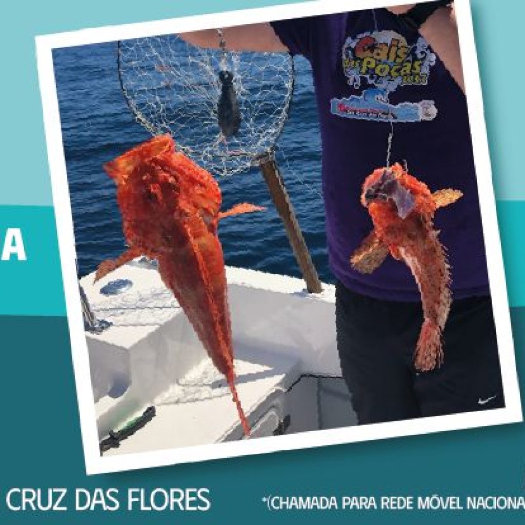 Floresfishing