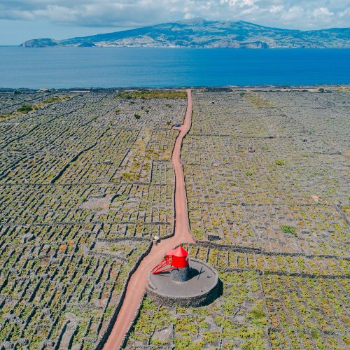 Paisagem Protegida da Cultura da Vinha