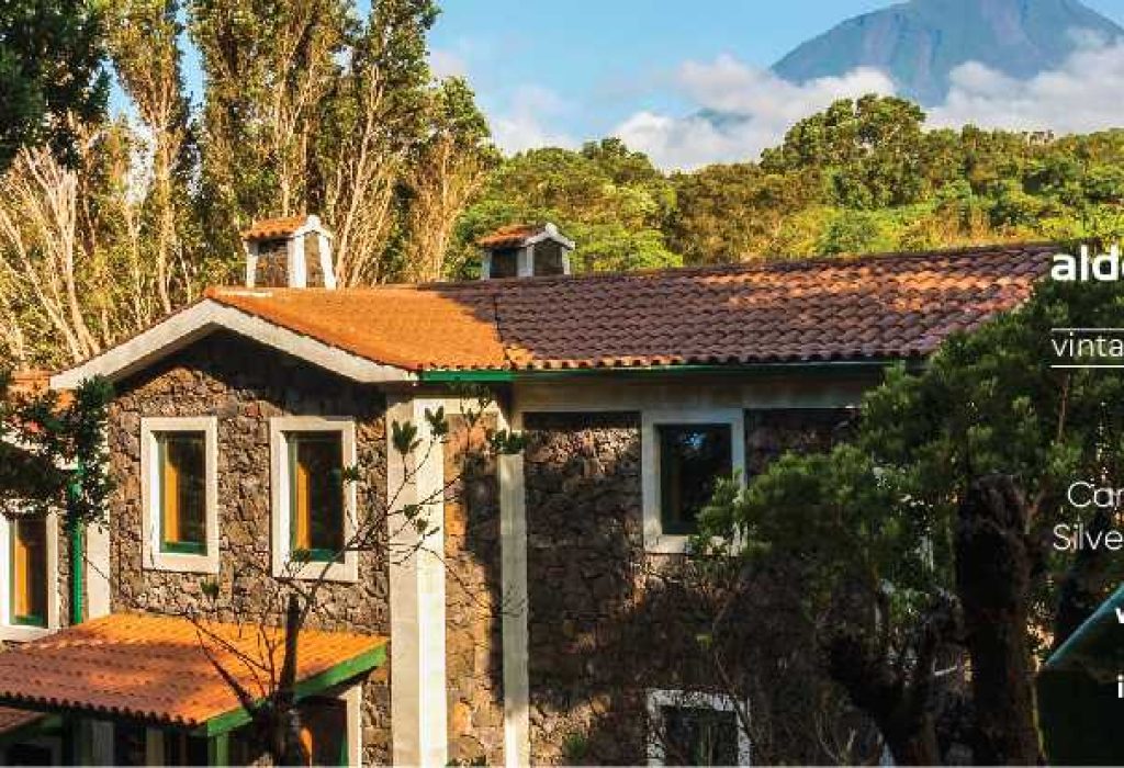 Aldeia da Fonte - Pico