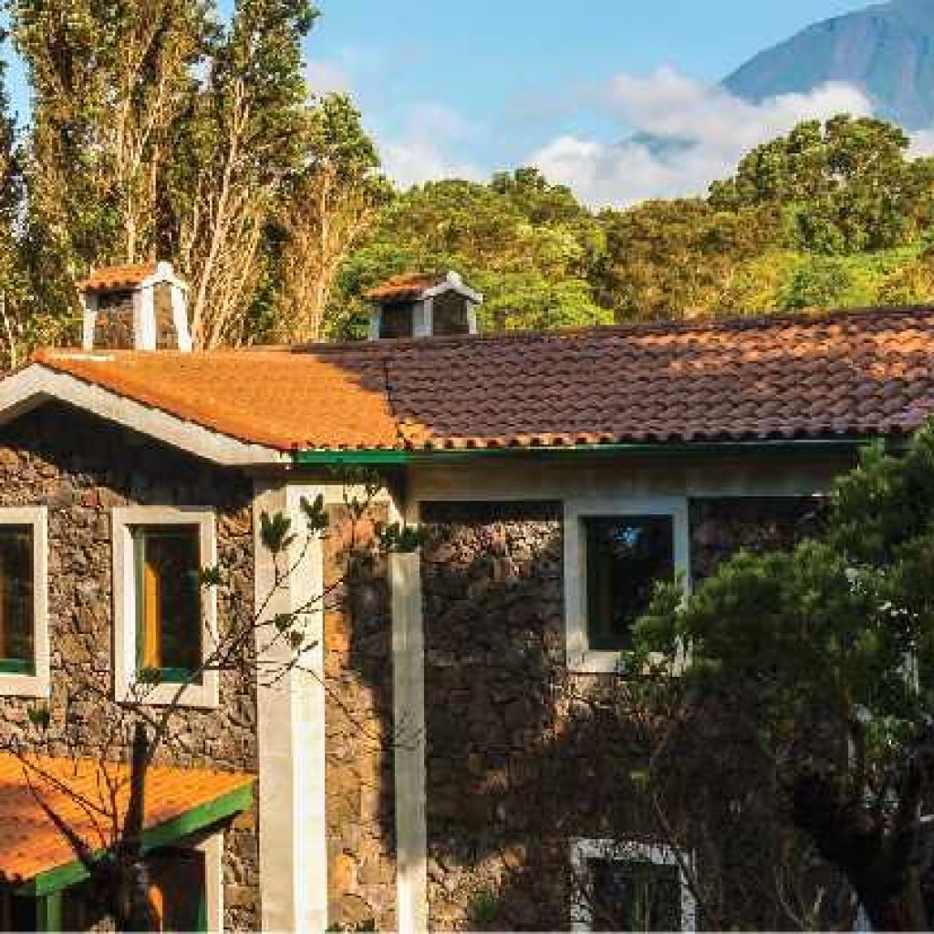 Aldeia da Fonte - Pico