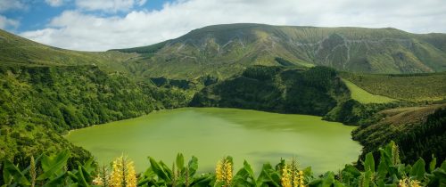 anne-zwickermann-_Se4Dbi9eyM-unsplash