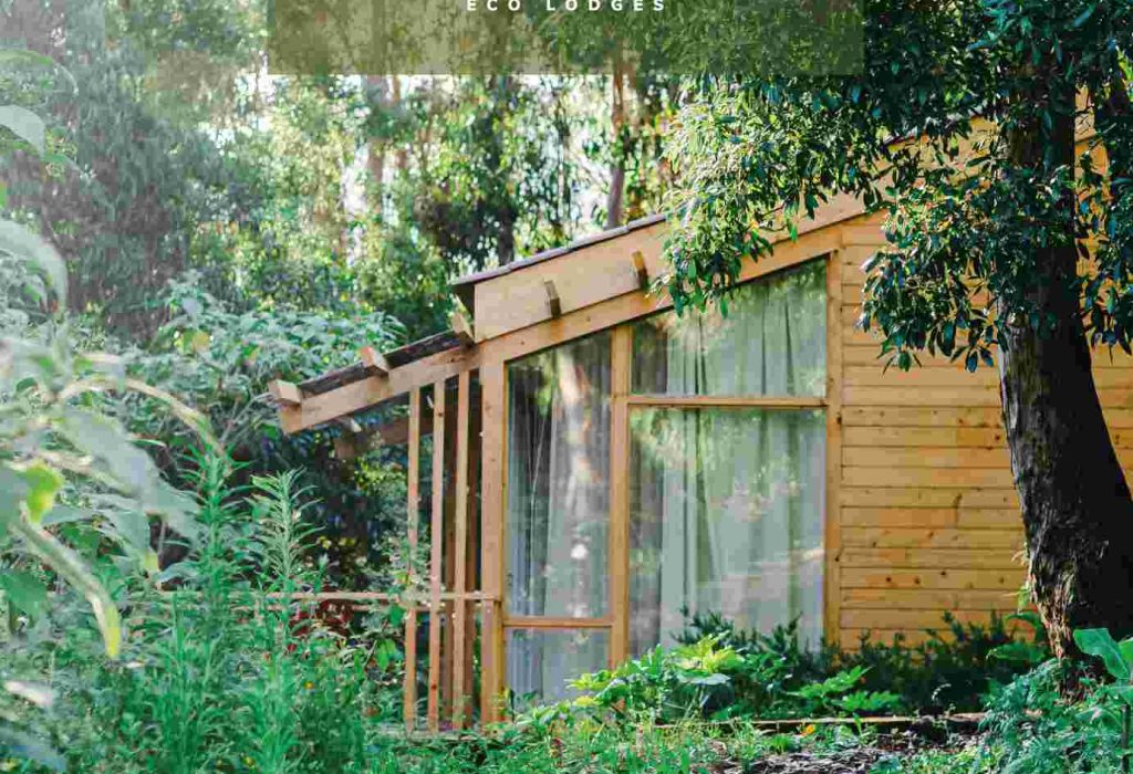 Cabanas da Viscondessa - São Jorge