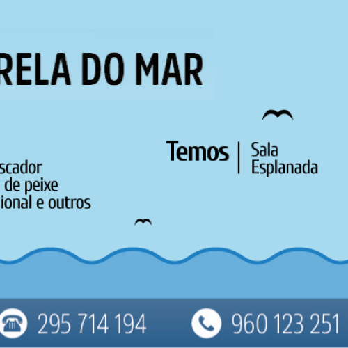 estrela_do_mar_35mm_pt