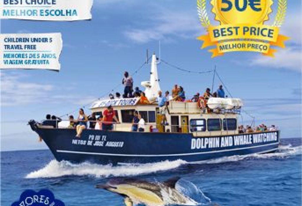 MobyDick Tours – Whale and Dolphin watching - São Miguel
