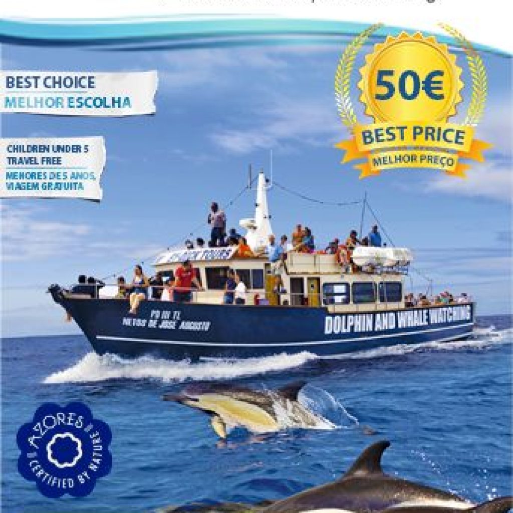 MobyDick Tours – Whale and Dolphin watching - São Miguel