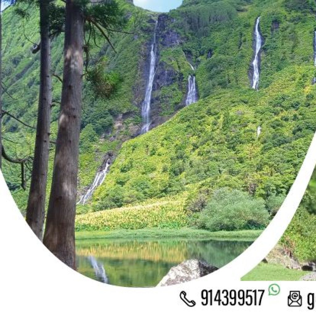 Mystic Tours - Faial