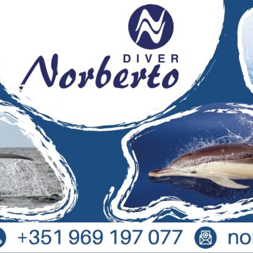 Norberto Diver - São Jorge