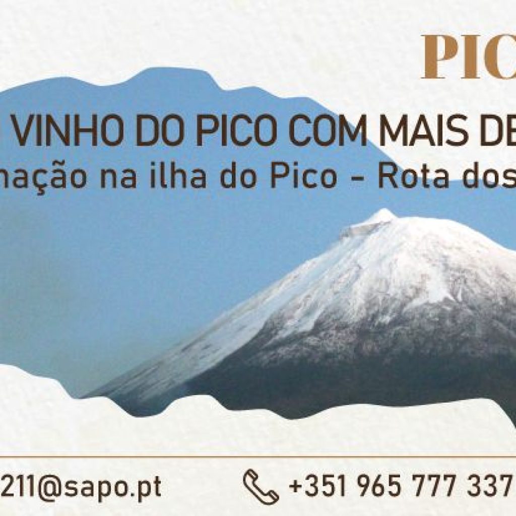 Pico Wine Tours