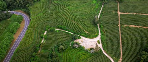 premium_photo-1666865792731-0a2656f2b12c