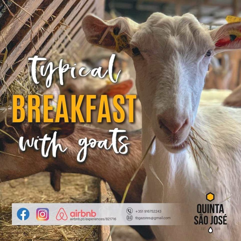 Quinta São José - São Miguel