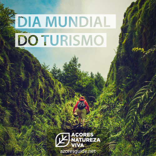 site_turismo